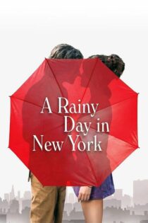 دانلود فیلم A Rainy Day in New York 2019 یک روز بارانی در نیویورک