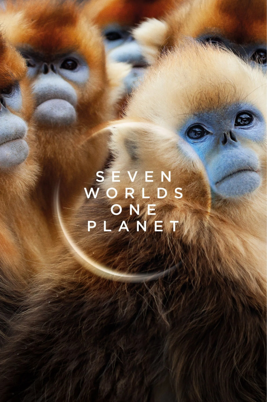 دانلود سریال Seven Worlds, One Planet هفت دنیا، یک سیاره