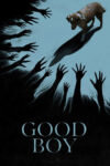 دانلود فیلم Good Boy 2025 پسر خوب