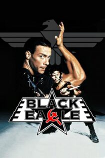 دانلود فیلم Black Eagle 1988 عقاب سیاه