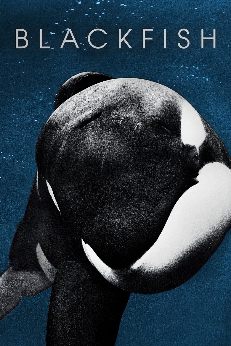 دانلود فیلم Blackfish 2013 ماهی سیاه