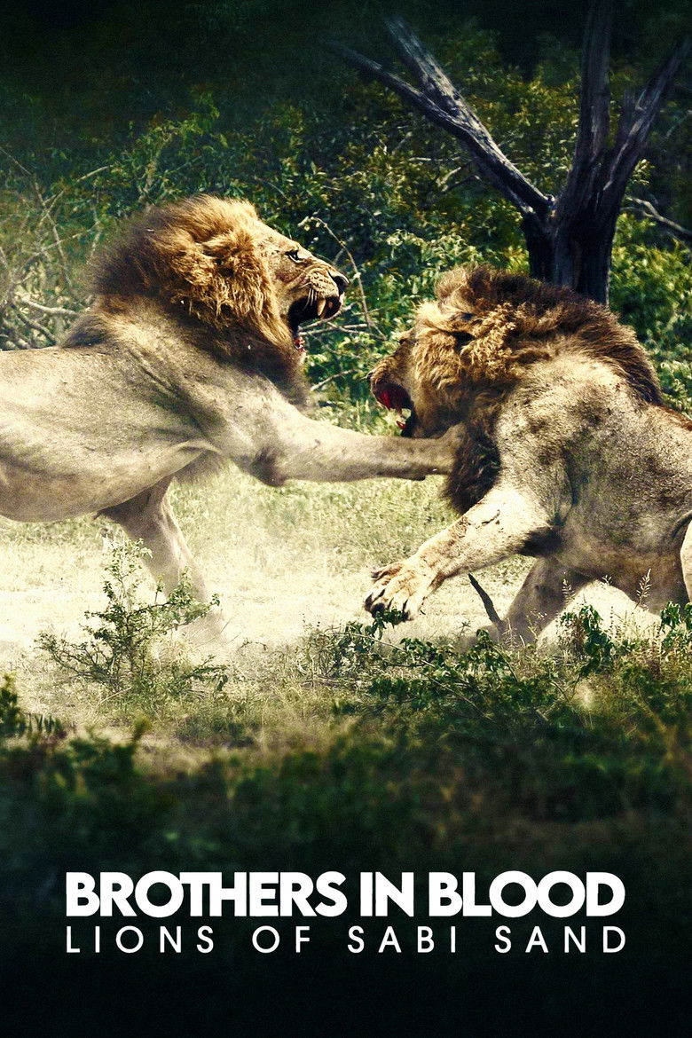 دانلود فیلم Brothers in Blood: The Lions of Sabi Sand 2015 برادران خونی: شیرهای سابی سند