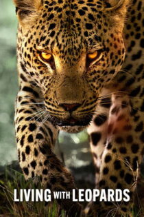دانلود فیلم Living with Leopards 2024 زندگی با پلنگ‌ها