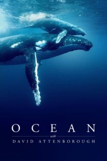 دانلود فیلم Ocean with David Attenborough 2025 اقیانوس با دیوید اتنبرو